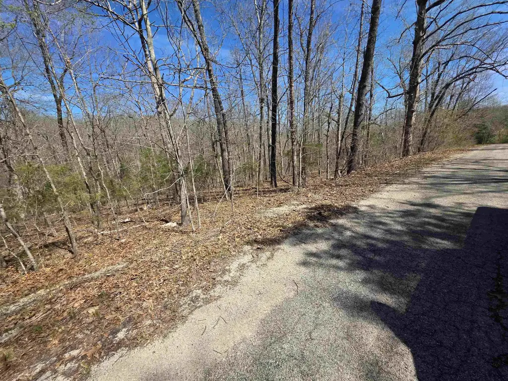L-14 B-11 Oklahoma Circle, Cherokee Village