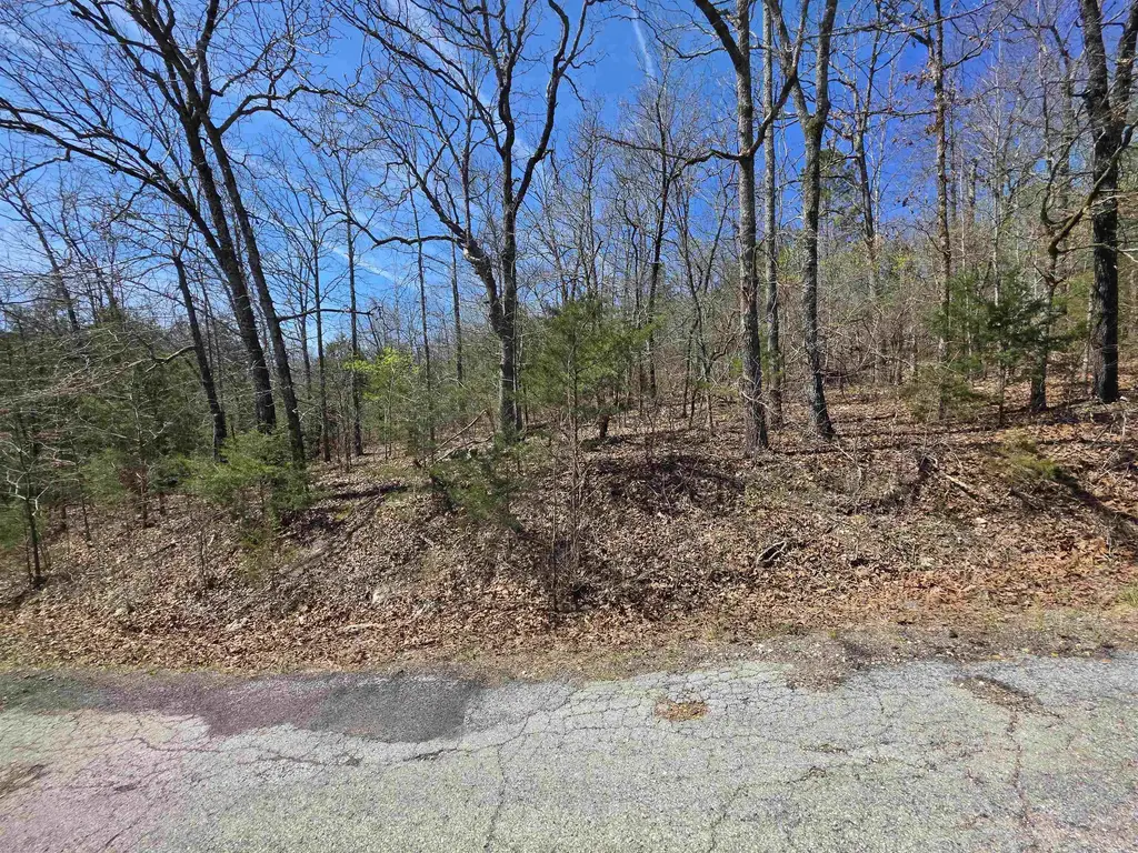 L-39 B-10 Iroquois Drive, Cherokee Village