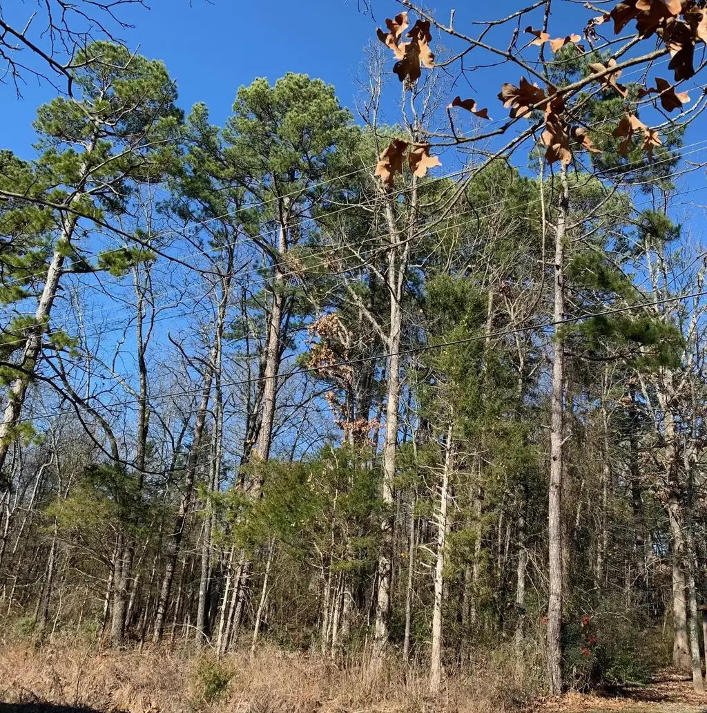 Lot 4 Thelma Street, Heber Springs