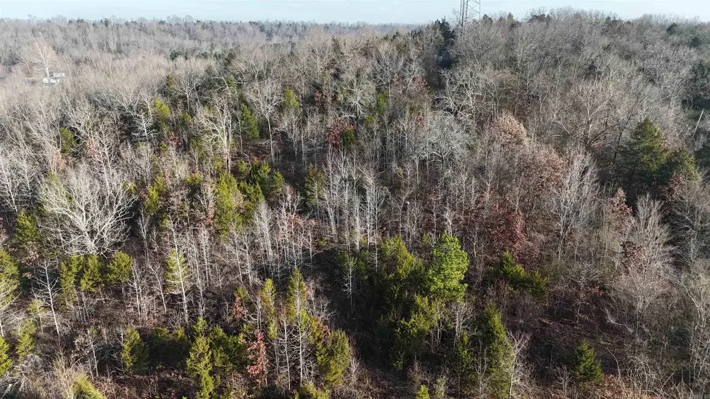 905 Fallen Tree, Marshall