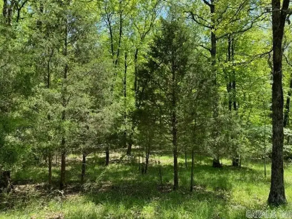 Lot 34 & 35 Brushmountain Trail, Little Rock