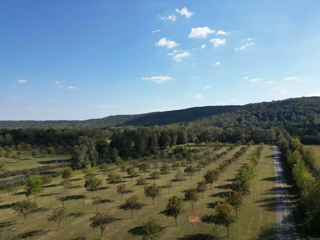 4231 Hwy 337 E Pecan Point Drive, Heber Springs