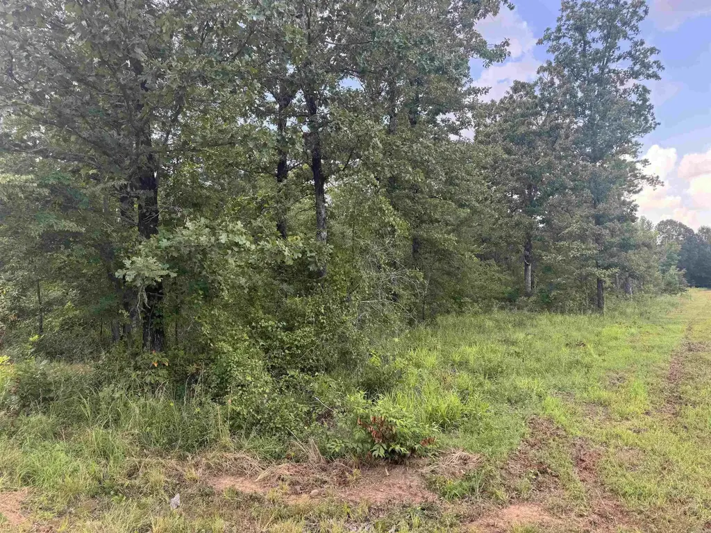 00 Moon Road, Sherwood