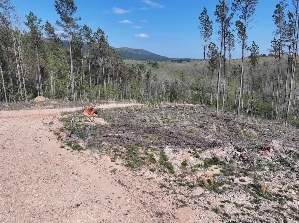 14 Palmer Mountain Rd, Caddo Gap