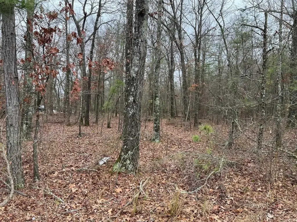 00 Ridgeway Road, Pine Bluff