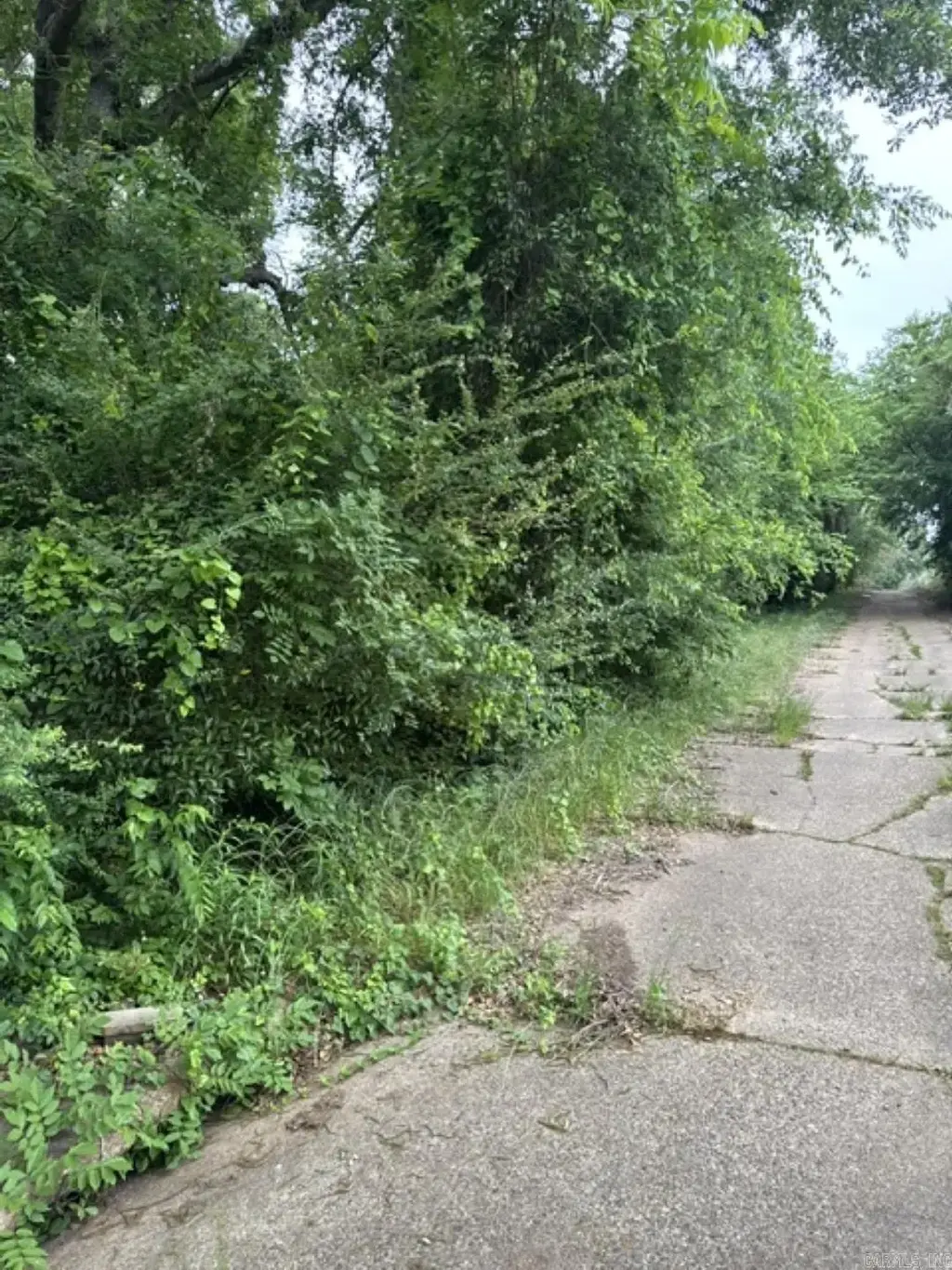 7 Lots On Ouachita, Camden