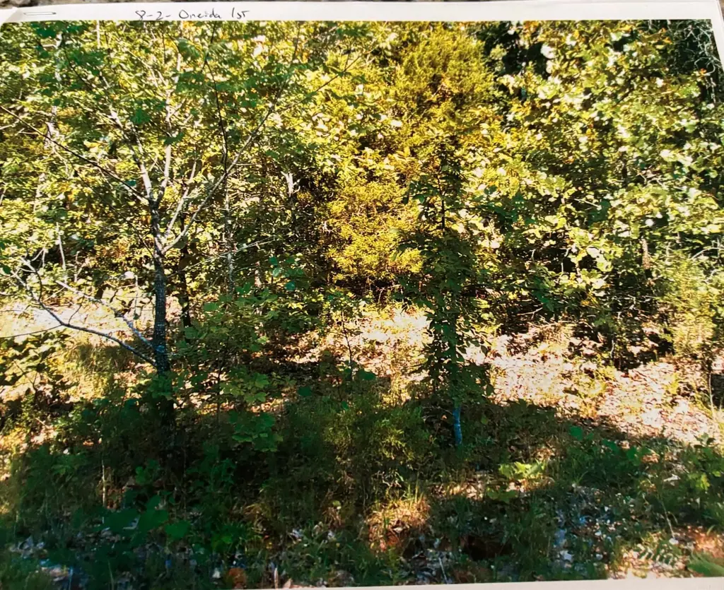 Tbd Wahoo Drive, Cherokee Village
