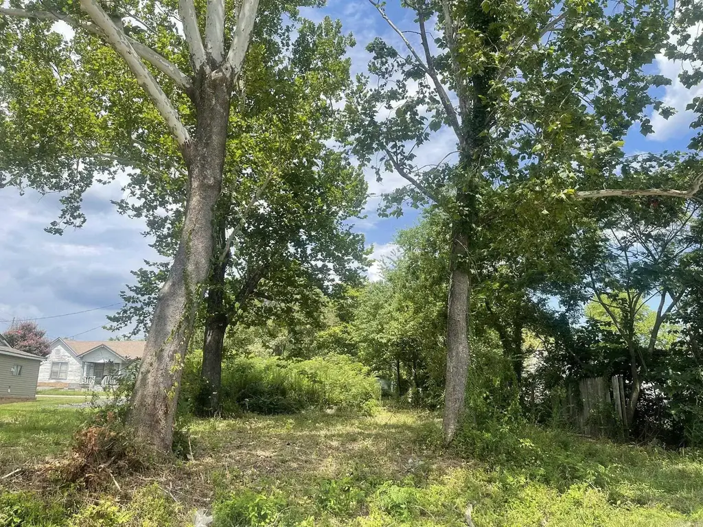 906 Elm Avenue, Mena
