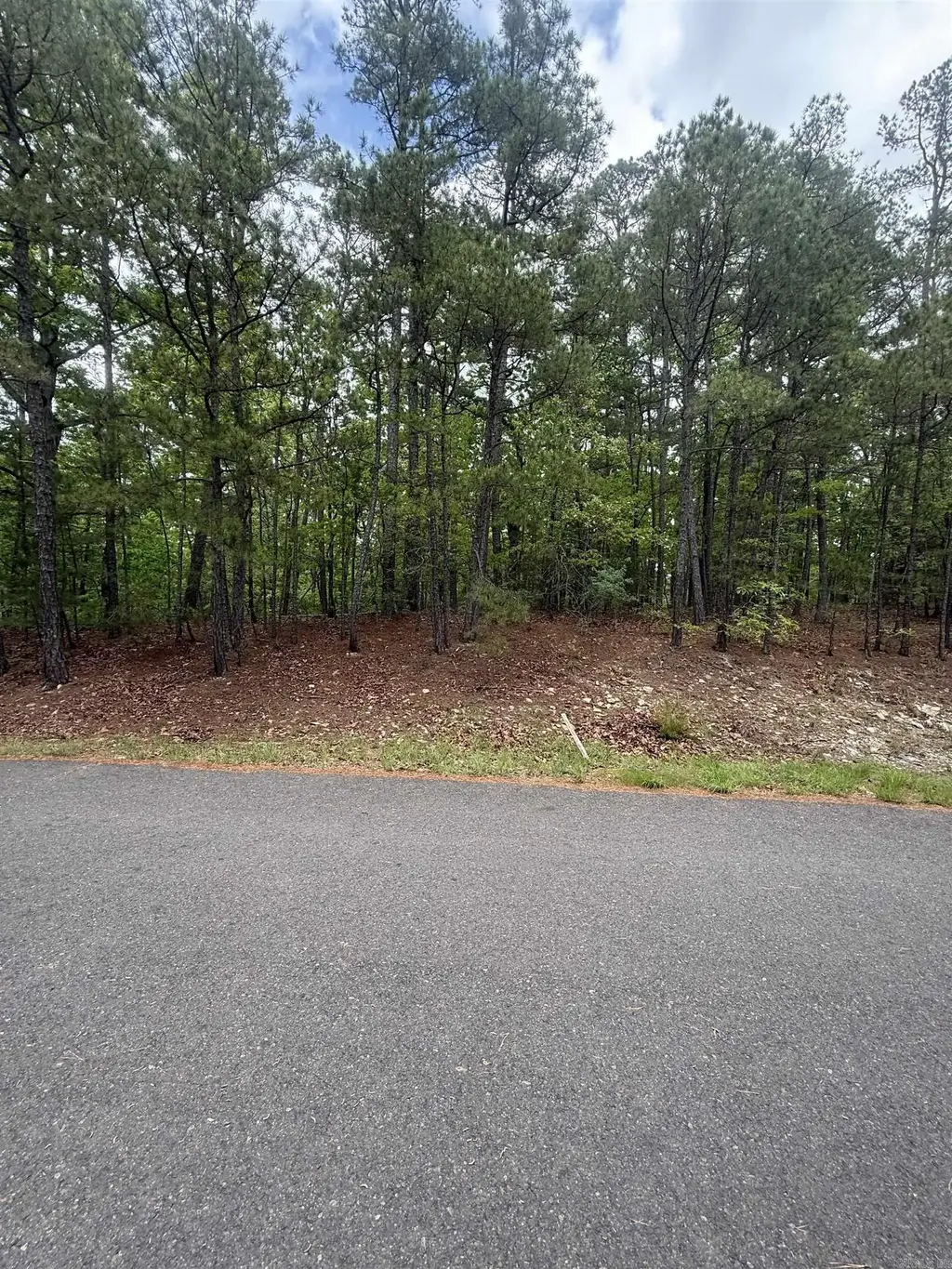 37 Dominar Way, Hot Springs Village