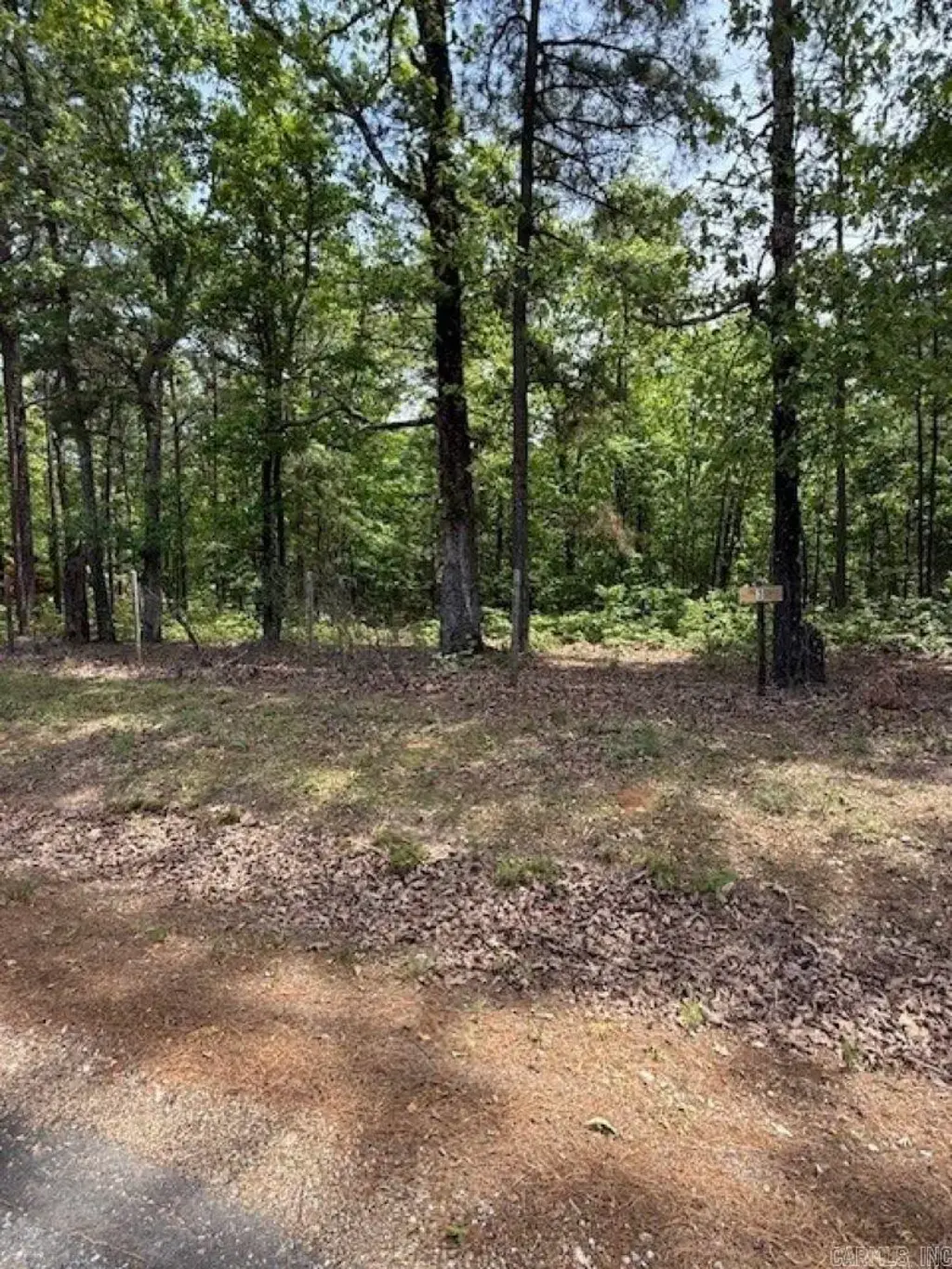 Tbd Maddox Court, Arkadelphia