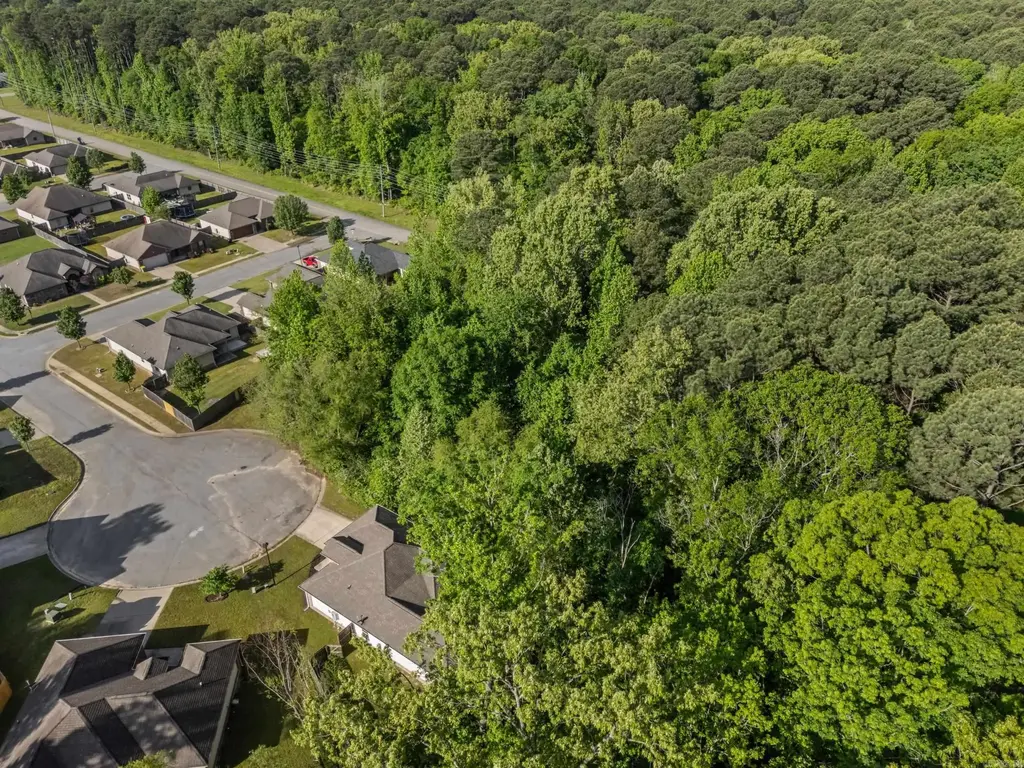 Carmichael Rd, Bryant