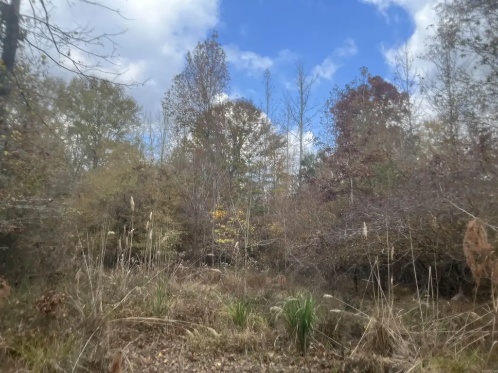 9-19-18 Salem Cemetery Rd, El Dorado