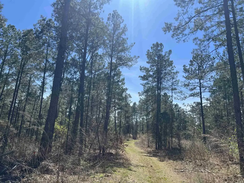 11-13-19 Ouachita Cr 183, Chidester