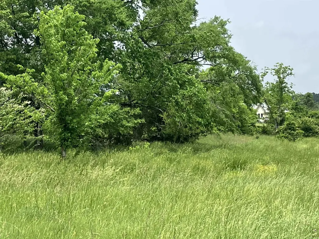 Tbd Abernathy Rd., Pencil Bluff