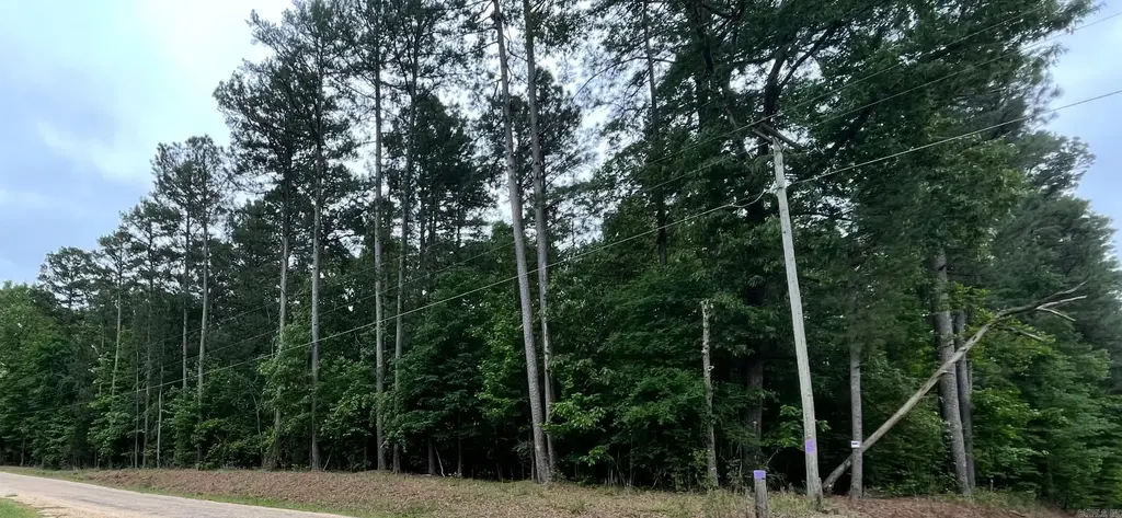 56.48 Acres Ouachita 387, Camden