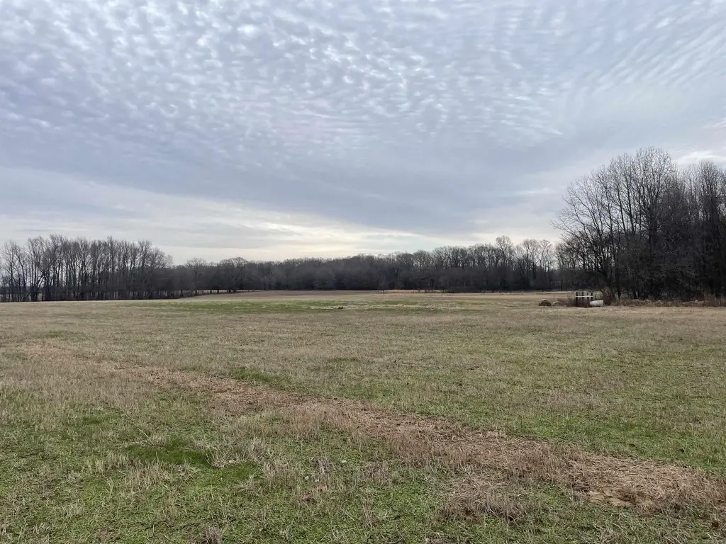 1170 Goff Road, Quitman