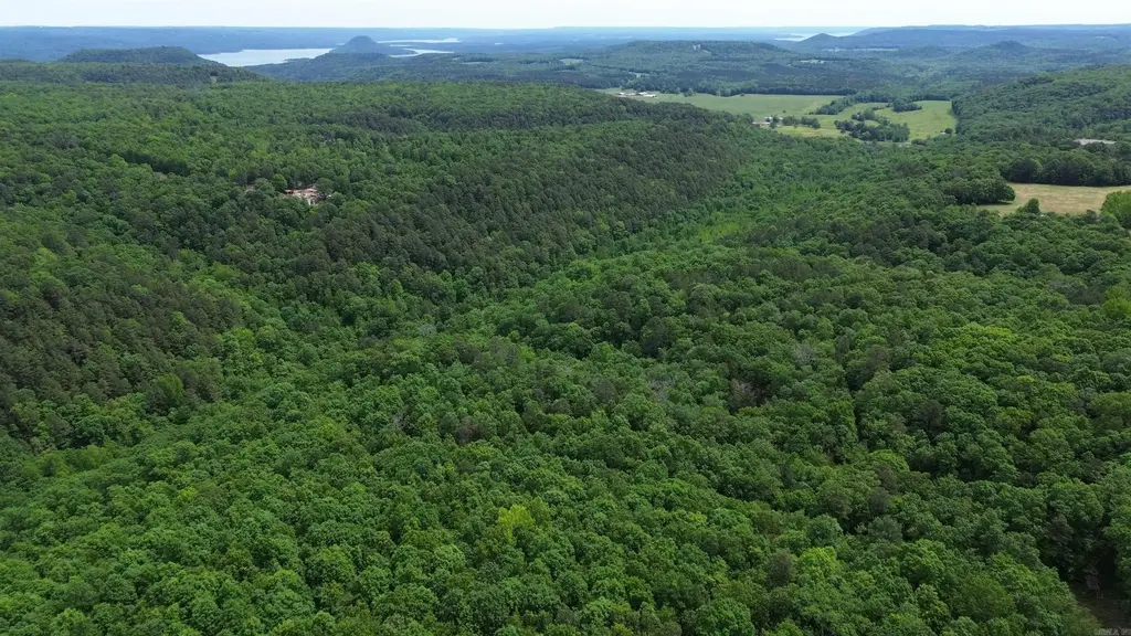 000 East Mountain Road, Bee Branch