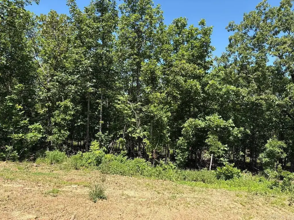 Lot 54 7 Lakes Ranch Estates, Conway