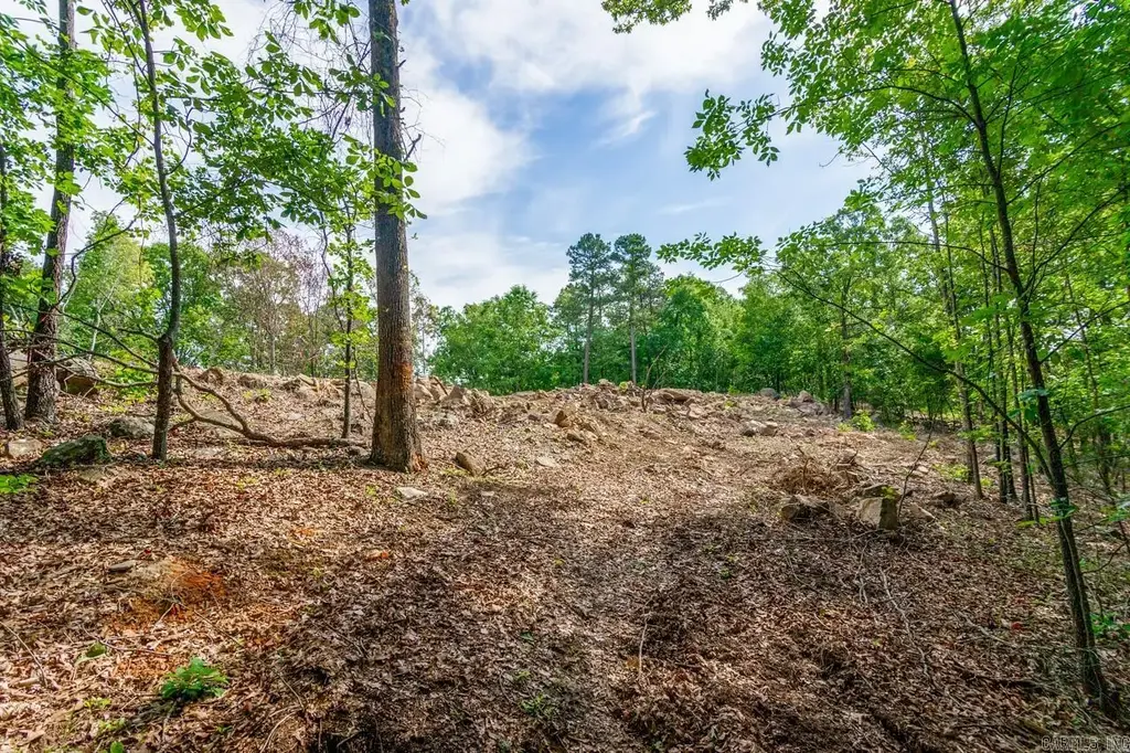 1500 Sawyer Lane, Conway