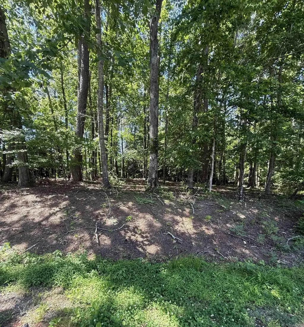 89 Arjona Way, Hot Springs Village