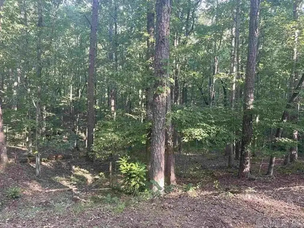 Lot 29 Carballo Lane, Hot Springs Village