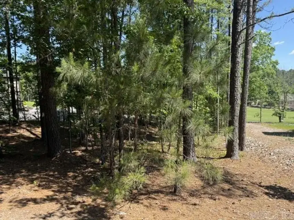 7 Belleza Drive, Hot Springs Village