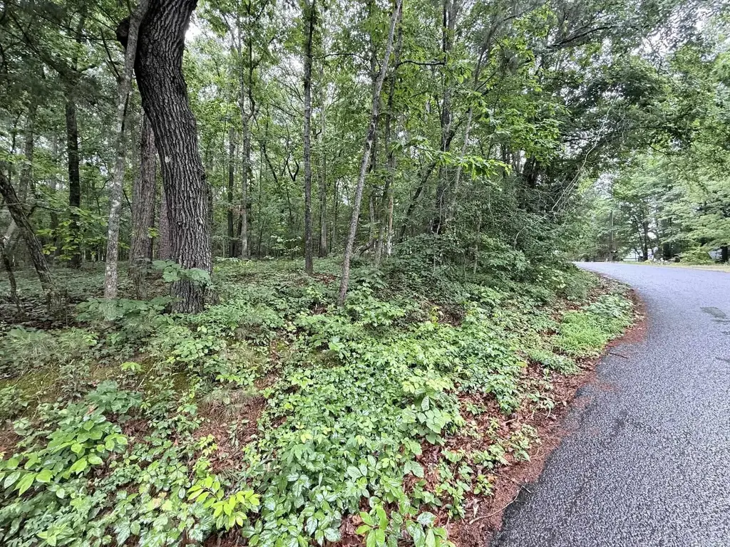 00 Davidson Cir., Greers Ferry