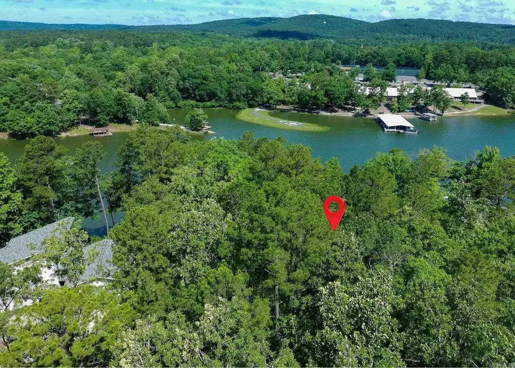 41 Fineza Way, Hot Springs Village
