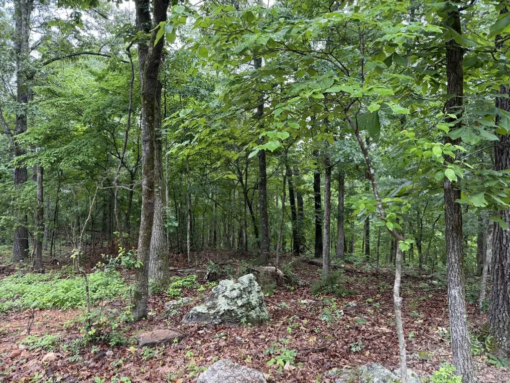37 Tall Pine Circle, Norfork