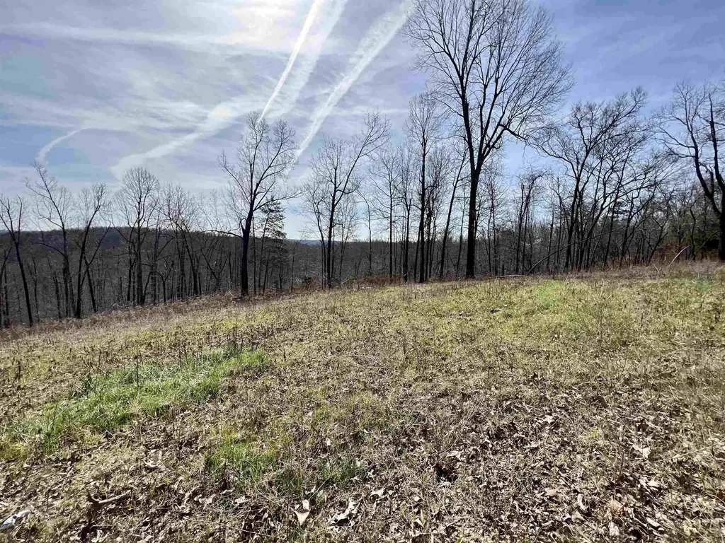 Tract 4 Ramblewood Trail, Yellville