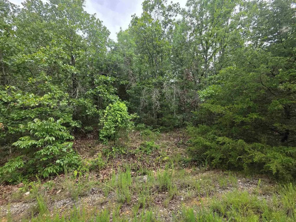 L-10, B-4 Arizonac Drive, Cherokee Village