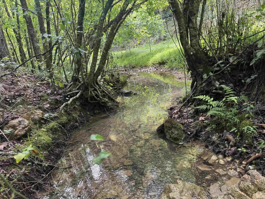 000 Mt Laurel, Glenwood