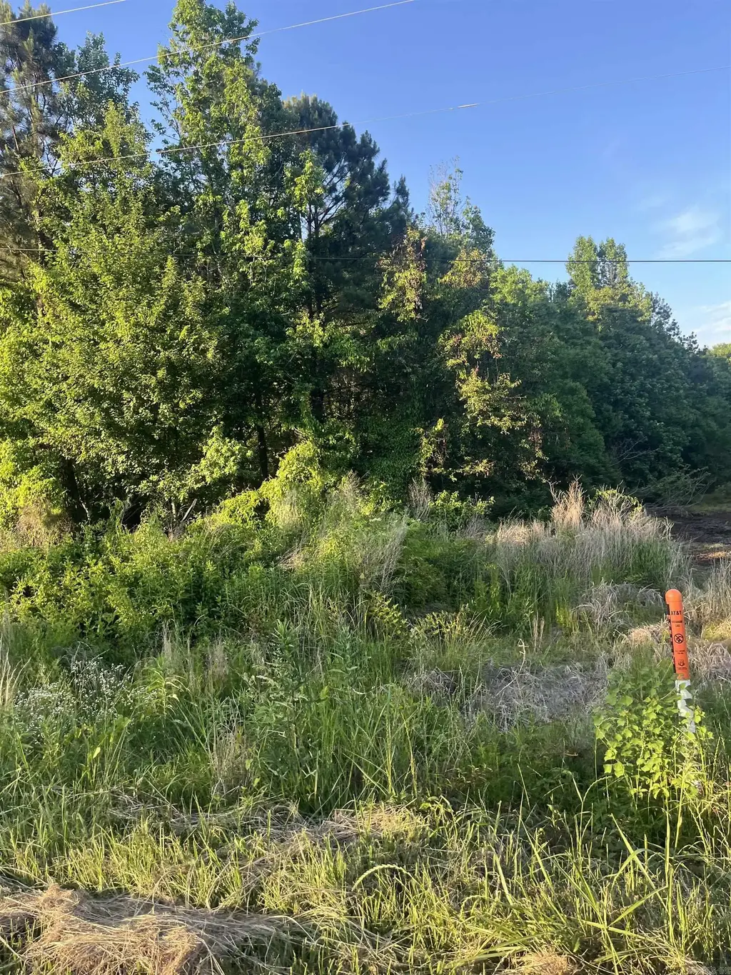 Lot 41 Sherwood Forest, Monticello