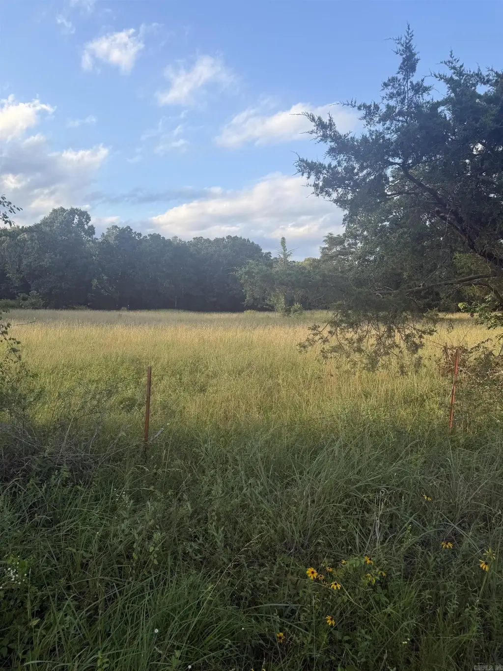 00 Pruett Road, Conway
