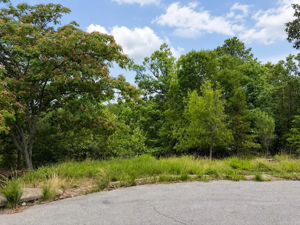 34 Basswood Terrace, Maumelle