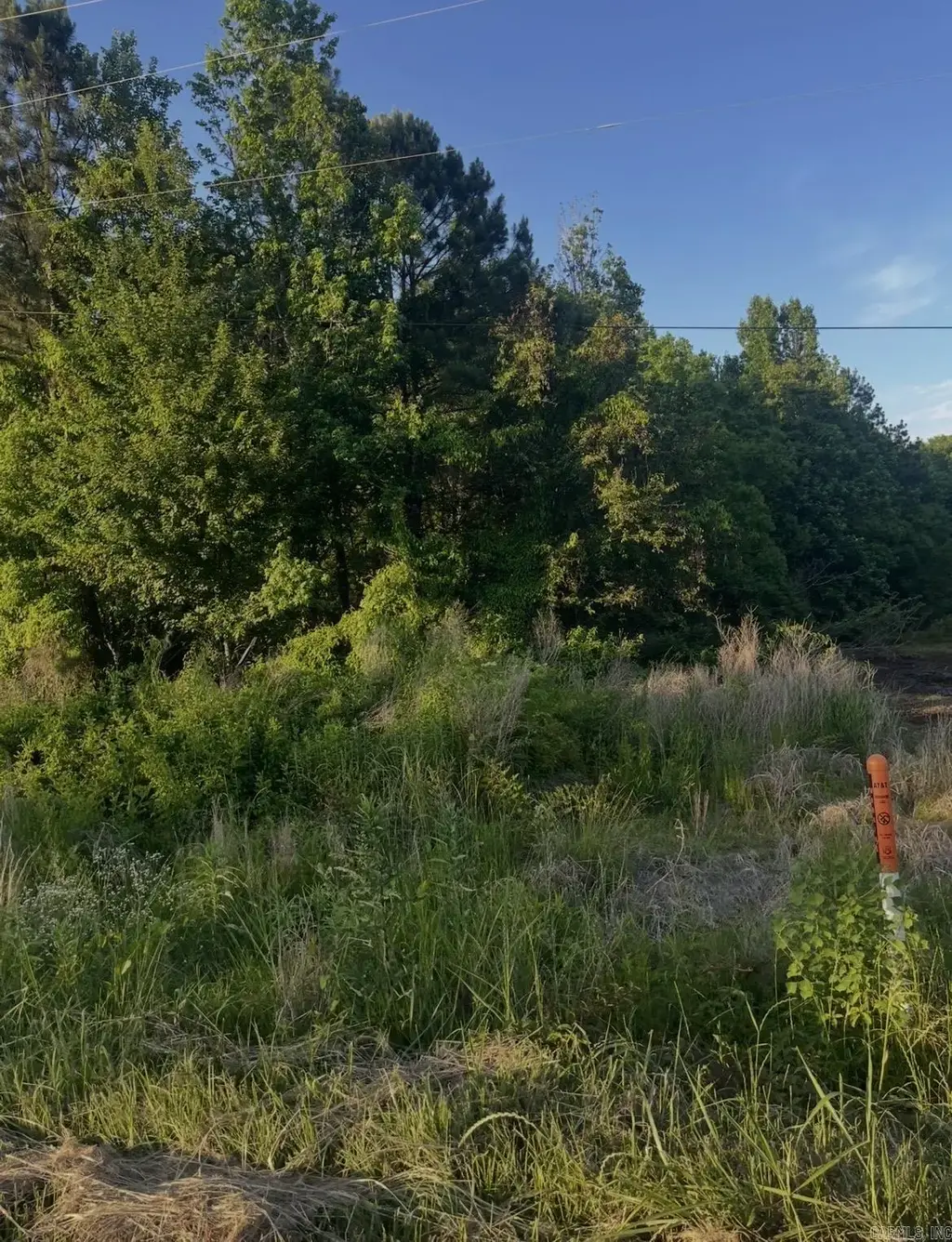 Lot 7 Parkwood, Monticello