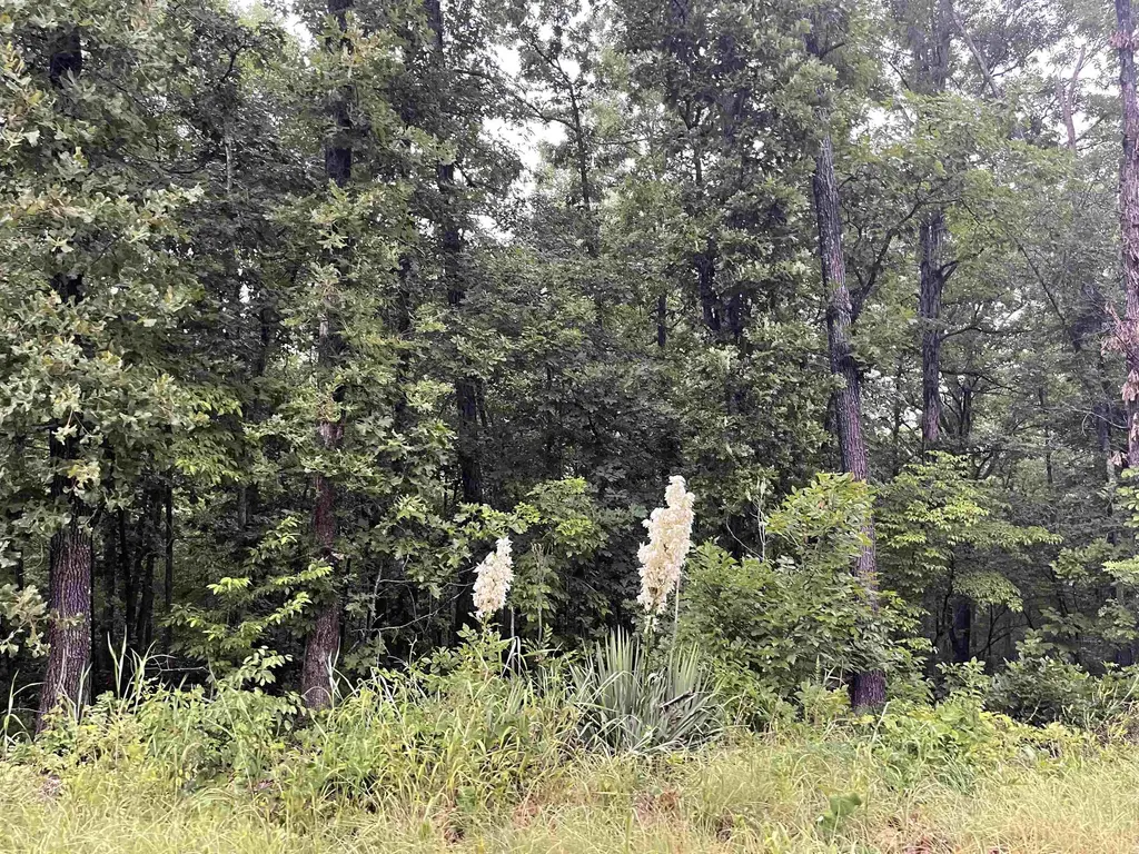 Tbd Blackfoot Drive, Cherokee Village