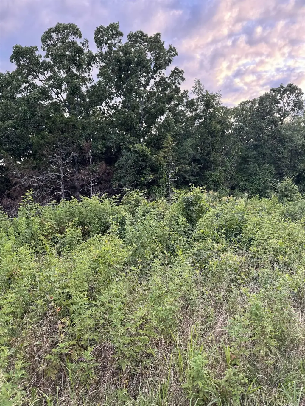 000 Ballard Road, Vilonia