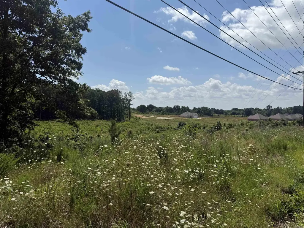 3.98 Acres Mockingbird Lane, Paragould