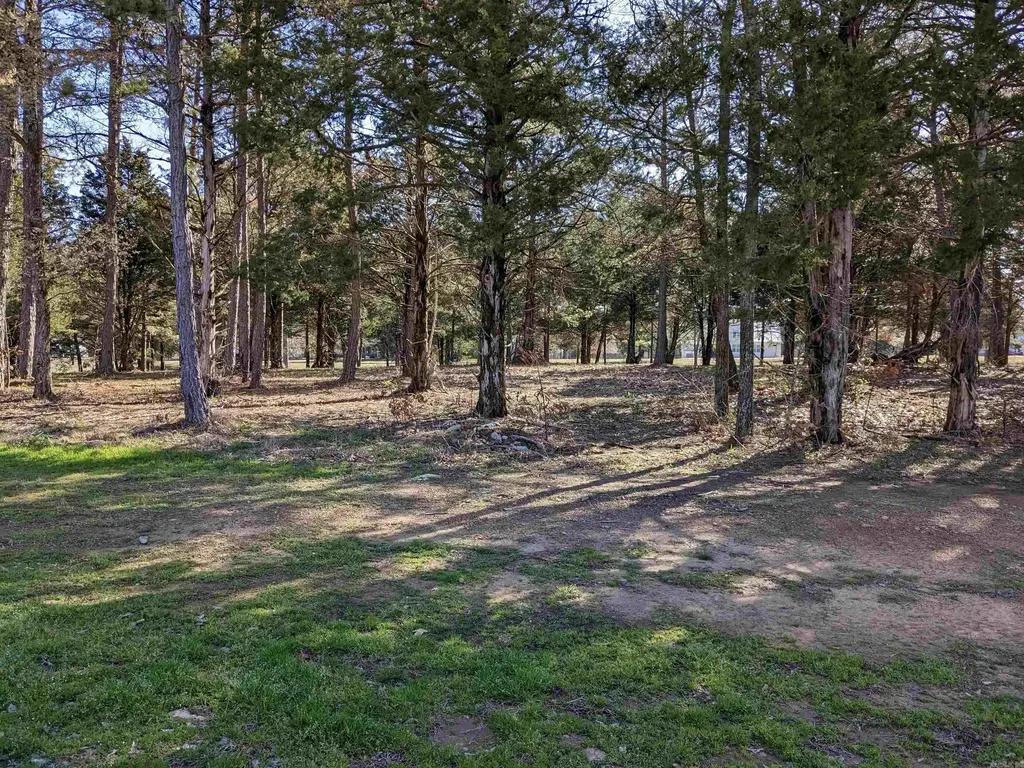 Lot 19 Brighton Pointe, Heber Springs