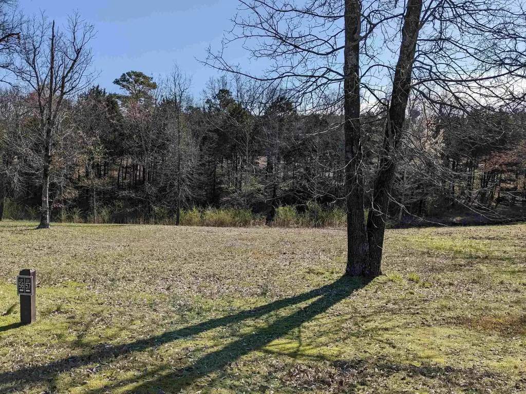 Lot 57 Brighton Pointe, Heber Springs