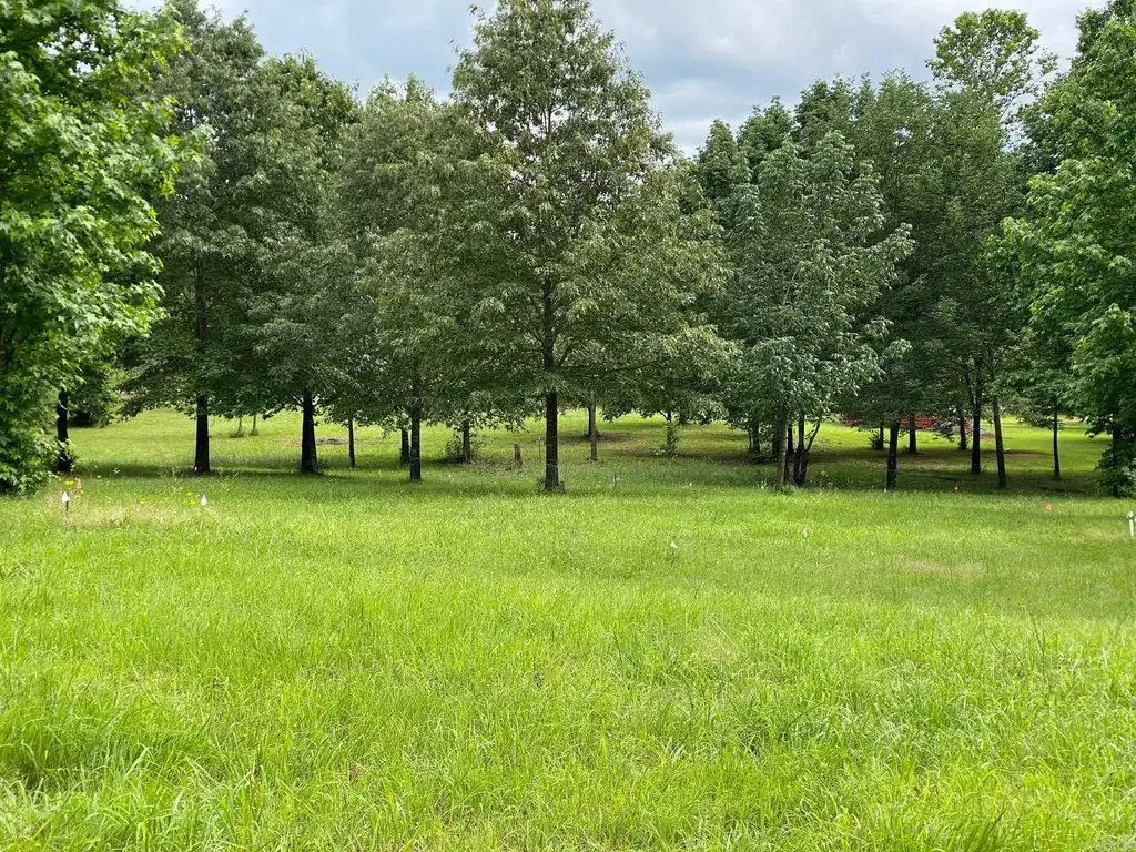 Ridge Cr, Quitman
