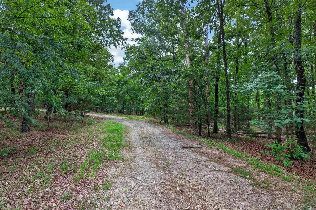 Lot 5 Lavenda Court, Hot Springs Village