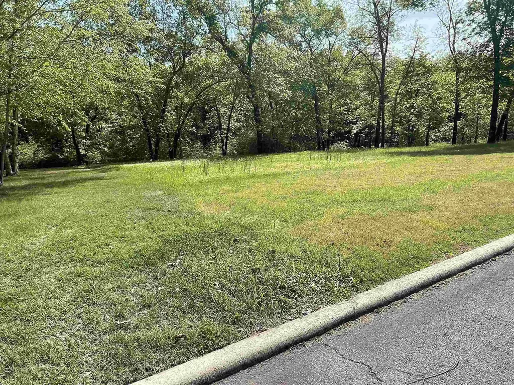 17 Brighton Pointe, Heber Springs
