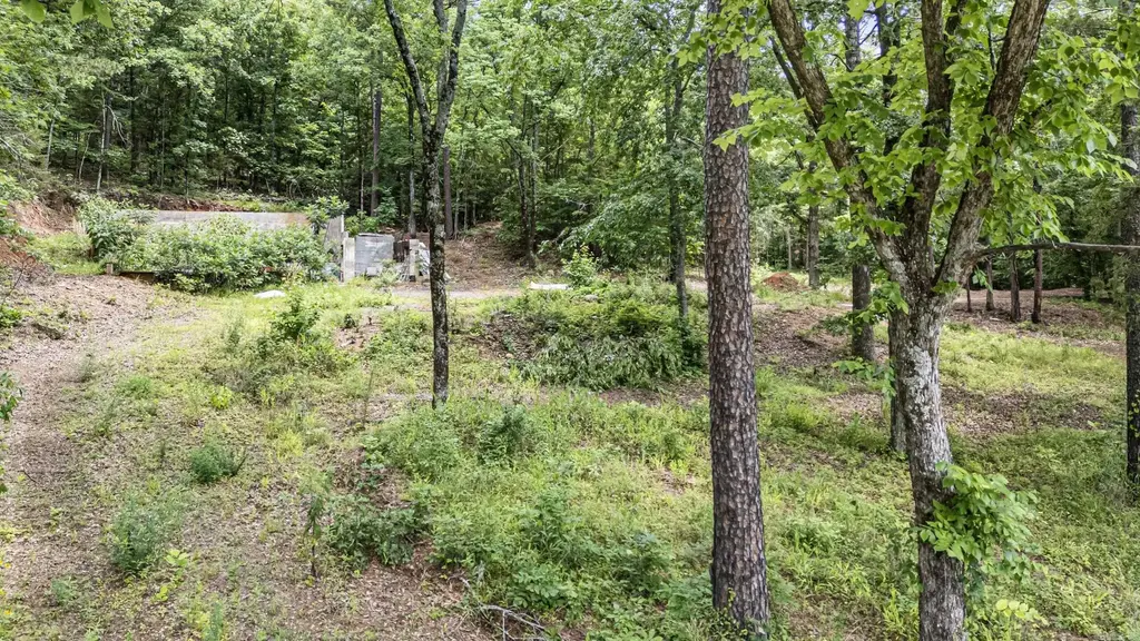 1656 Walnut Valley Drive, Dover