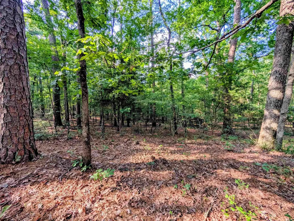 198 Cathedral Pines, Mena