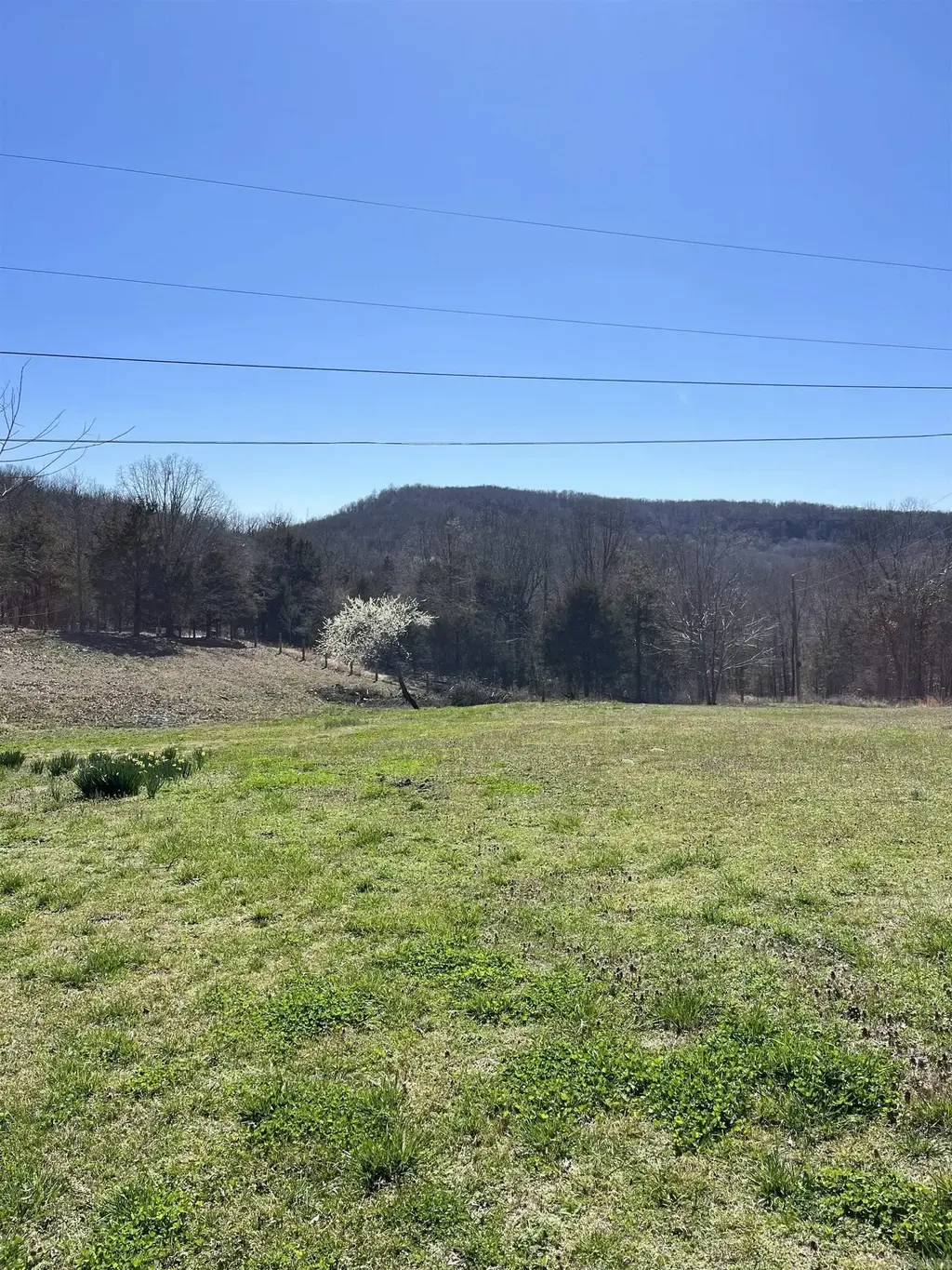 564 Rattlesnake Drive, Marshall