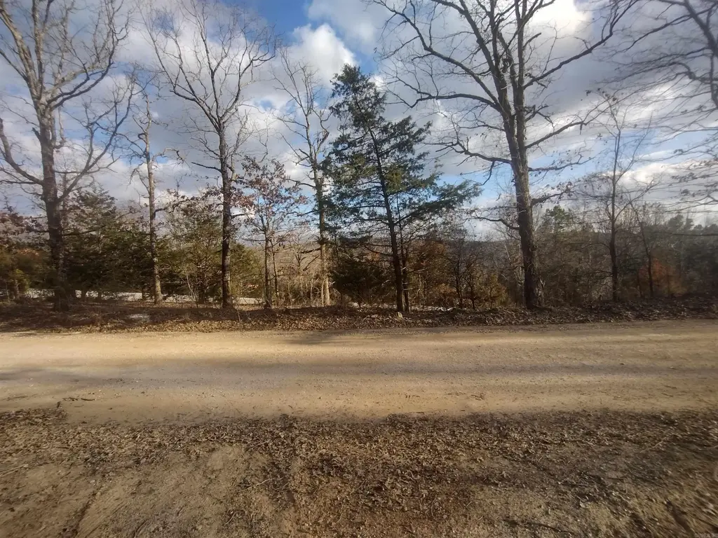 140 Brushy Creek Rd, Mountain View