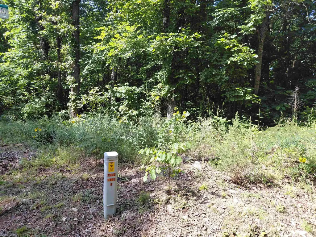 Ponderosa Lane, Ozark Acres
