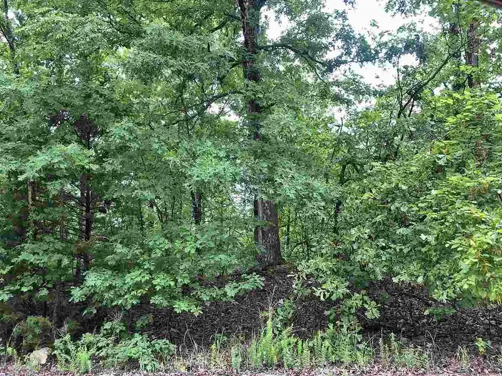 710 Lynwood Avenue, Horseshoe Bend